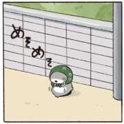 ヒメ日記 2025/11/23 10:15 投稿 ♡チフネ MEGA PALACE(メガパレス）