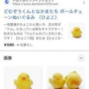 ヒメ日記 2026/01/20 19:03 投稿 ♡チフネ MEGA PALACE(メガパレス）