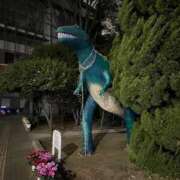 ヒメ日記 2026/01/29 09:16 投稿 ♡チフネ MEGA PALACE(メガパレス）