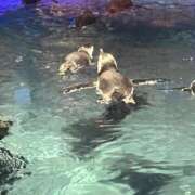 ヒメ日記 2026/02/10 18:13 投稿 ♡チフネ MEGA PALACE(メガパレス）