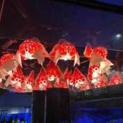 ヒメ日記 2026/02/10 19:14 投稿 ♡チフネ MEGA PALACE(メガパレス）