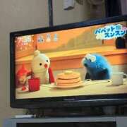 ヒメ日記 2026/02/18 17:43 投稿 ♡チフネ MEGA PALACE(メガパレス）