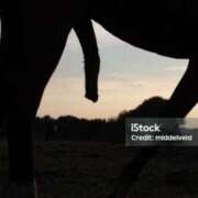 ヒメ日記 2026/02/25 07:11 投稿 ♡チフネ MEGA PALACE(メガパレス）