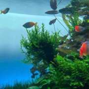 ヒメ日記 2026/03/22 23:14 投稿 ♡チフネ MEGA PALACE(メガパレス）