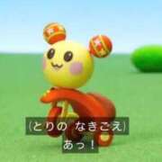 ヒメ日記 2026/04/01 17:13 投稿 ♡チフネ MEGA PALACE(メガパレス）