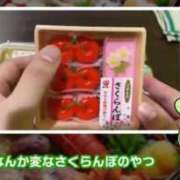 ヒメ日記 2026/05/02 00:17 投稿 ♡チフネ MEGA PALACE(メガパレス）