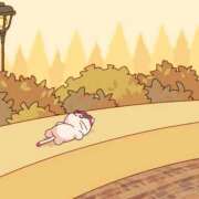 ヒメ日記 2026/05/12 22:53 投稿 ♡チフネ MEGA PALACE(メガパレス）