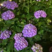 ヒメ日記 2026/06/03 16:43 投稿 ♡チフネ MEGA PALACE(メガパレス）