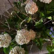 ヒメ日記 2026/06/06 09:23 投稿 ♡チフネ MEGA PALACE(メガパレス）