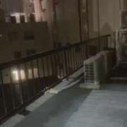 ヒメ日記 2026/06/15 20:53 投稿 ♡チフネ MEGA PALACE(メガパレス）