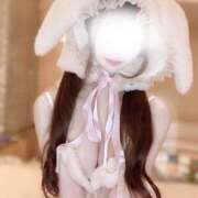 ヒメ日記 2025/03/12 01:28 投稿 せりな ミニマムエロ娘♡ Office Love　町田店（Loveグループ）