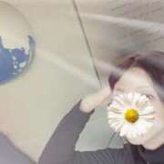 ヒメ日記 2024/12/19 23:30 投稿 古沢 まみ こあくまな熟女たち沼津店（KOAKUMAグループ）