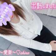 ヒメ日記 2025/06/03 08:46 投稿 愛島　あきな【奥様】 isai～愛妻