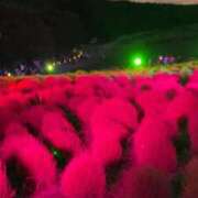 ヒメ日記 2025/09/22 09:22 投稿 せら 水戸人妻花壇