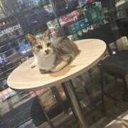 ヒメ日記 2025/05/23 18:10 投稿 ひなの 逢って30秒で即尺