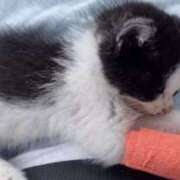 ヒメ日記 2025/05/26 15:54 投稿 ひなの 逢って30秒で即尺