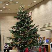 ヒメ日記 2024/12/24 15:27 投稿 琥珀 昼顔妻 五反田店