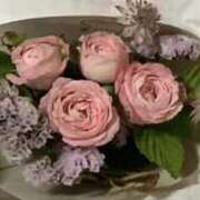 ヒメ日記 2025/05/06 15:16 投稿 琥珀 昼顔妻 五反田店