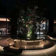 ヒメ日記 2025/09/14 22:36 投稿 琥珀 昼顔妻 五反田店