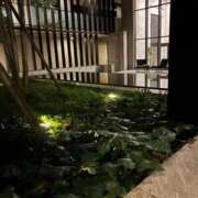 ヒメ日記 2025/10/21 18:06 投稿 琥珀 昼顔妻 五反田店