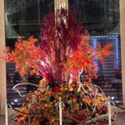 ヒメ日記 2025/11/02 22:16 投稿 琥珀 昼顔妻 五反田店