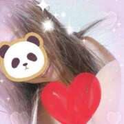 ヒメ日記 2025/12/15 06:16 投稿 琥珀 昼顔妻 五反田店