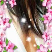 ヒメ日記 2026/01/20 11:46 投稿 琥珀 昼顔妻 五反田店