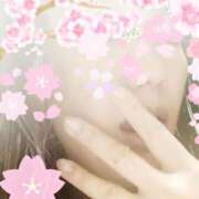 ヒメ日記 2026/03/24 11:36 投稿 琥珀 昼顔妻 五反田店