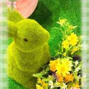 ヒメ日記 2026/03/27 07:16 投稿 琥珀 昼顔妻 五反田店