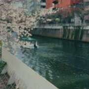 ヒメ日記 2026/03/29 14:46 投稿 琥珀 昼顔妻 五反田店