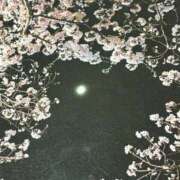 ヒメ日記 2026/04/03 11:46 投稿 琥珀 昼顔妻 五反田店