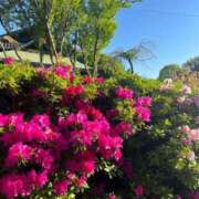 ヒメ日記 2025/04/25 05:03 投稿 ★恋の予感★ club MUTEKI