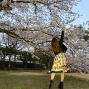 ヒメ日記 2025/04/27 14:48 投稿 ★恋の予感★ club MUTEKI