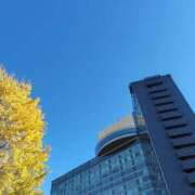 ヒメ日記 2024/12/23 11:10 投稿 ムーア 西川口デッドボール