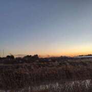 ヒメ日記 2025/01/17 17:00 投稿 ムーア 西川口デッドボール