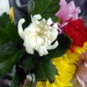 ヒメ日記 2025/05/21 10:51 投稿 ムーア 西川口デッドボール