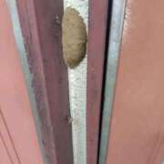 ヒメ日記 2025/07/12 09:48 投稿 ムーア 西川口デッドボール