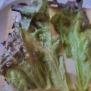 ヒメ日記 2025/07/26 11:14 投稿 ムーア 西川口デッドボール