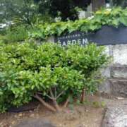 ヒメ日記 2025/09/04 12:20 投稿 ムーア 西川口デッドボール