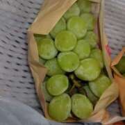 ヒメ日記 2025/10/07 15:48 投稿 ムーア 西川口デッドボール