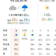 ヒメ日記 2025/10/16 06:18 投稿 ムーア 西川口デッドボール