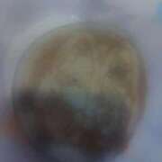 ヒメ日記 2025/10/19 09:17 投稿 ムーア 西川口デッドボール