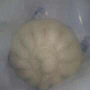 ヒメ日記 2025/10/26 08:18 投稿 ムーア 西川口デッドボール