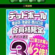 ヒメ日記 2026/01/15 06:18 投稿 ムーア 西川口デッドボール