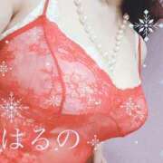 ヒメ日記 2024/12/21 10:41 投稿 はるの 渋谷蘭の会