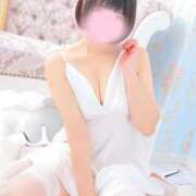 ヒメ日記 2024/12/20 15:14 投稿 薺（なずな） ビッグバード