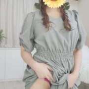 ヒメ日記 2025/01/19 17:34 投稿 薺（なずな） ビッグバード