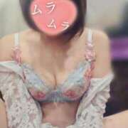 ヒメ日記 2025/01/24 15:14 投稿 薺（なずな） ビッグバード