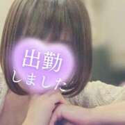 ヒメ日記 2025/02/04 18:04 投稿 薺（なずな） ビッグバード