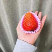 ヒメ日記 2025/02/10 17:34 投稿 薺（なずな） ビッグバード